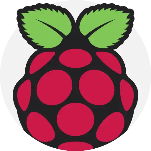 Raspberry Pi as an IoT Device: A World of Possibilities