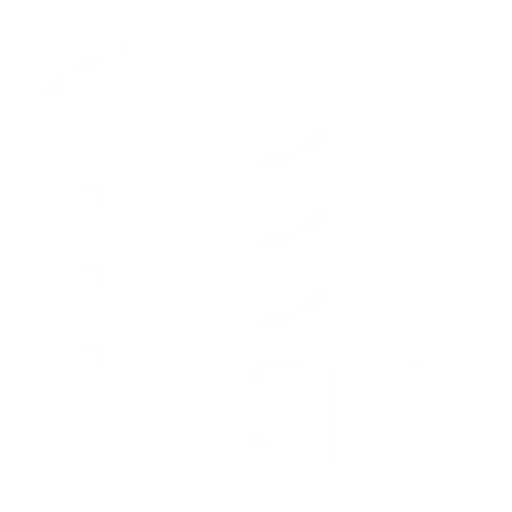 The Power of SQL Queries
